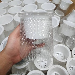 P老闆水族 水耕盆/魚缸 透明圓缸 水培懶人盆栽 水耕土耕兩用 鬥魚適用, 1個, 中-透