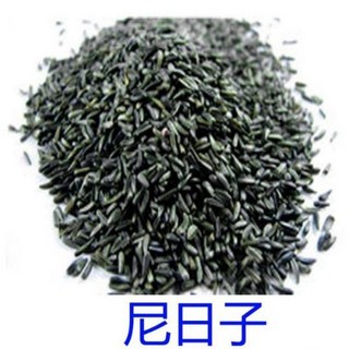 ＊來成鳥園＊鳥飼料/尼日子-500克/鳴叫/營養補充/生蛋/增加熱量 寒冬必備/適合雀科、鸚鵡、倉鼠、燕科等寵物, 1個, 尼日子-500克-大份量