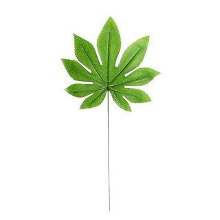 GXS攝影道具 仿真熱帶植物壁飾 ig拍照道具 龜背葉 蕨類 插花壁飾 ins攝影裝飾, 過膠八角葉-深色45*25cm葉脈印歪