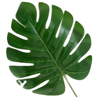 ONEDAY 熱銷仿真龜背葉/椰樹葉/春雨葉/西瓜葉，仿真熱帶雨林植物拍攝道具，多款現貨, 綠色, 1個