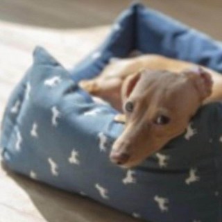 강아지 반려견 포르티 소취 쿠션 침구 베 ys713