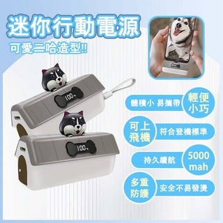 【台灣現貨】迷你行動電源 膠囊行動電源 口袋隨身充 可愛充電寶 直插式 無線快充 PD快充 適用蘋果安卓 可帶上飛機, 貓咪,Type-C接口