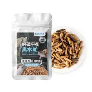 EXOTIC CORNER 鈣磷平衡黑水虻蟲蟲零食, 10g, 1個