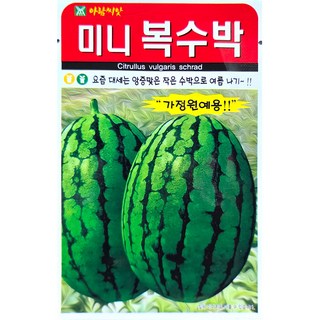 미니복수박 5립 아람 26년 수박씨앗, H4_미니복 수박 5립