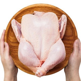 닭심보감 국내산 신선 냉장 닭고기 삼계탕용 백숙용 통닭 10kg (약 1kg X 10팩), 10개