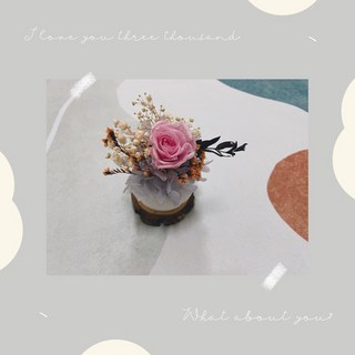 H&T 可愛小巧永生花盆，情人節花禮/母親節花禮，精緻桌面擺飾，持久綻放，無需照料, 1個