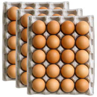 난각번호1번 유정란 달걀 계란 무항생제 자연방사, 60구, 1개