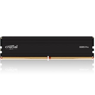 마이크론 Crucial DDR5-5600 CL46 PRO 아스크텍 (32GB), CP32G56C46U5