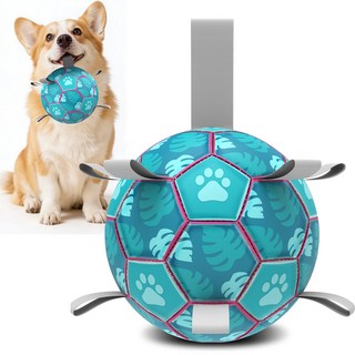 Qdan 강아지장난감 강아지공 개 축구공 끈 달린 펌프 포함, 1개, 하와이 그린