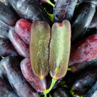 [작년판매1위]초고당도 씨없는 가지포도 껍질째먹는 블랙사파이어포도, 1박스, 500g