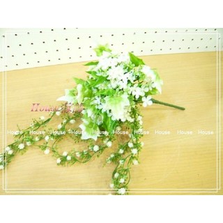 ︵House傢飾︵十字梅新娘捧花【限量款/新發售】乾燥花捧花，婚禮捧花，居家裝飾，十字梅花束