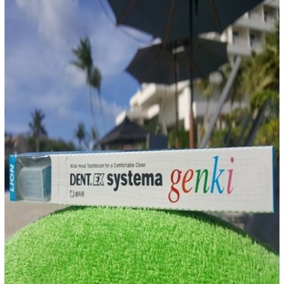 라이온칫솔 (12세 청소년 성인여성 남성 시니어 모음), 겐키J일반교정, 1개