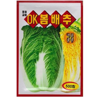 영농사 OK 봄배추 씨앗 500립 봄배추씨, 2개