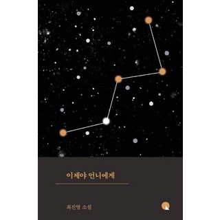 Changbi Publishers 現在才致姊姊：崔眞永小說, 崔眞永