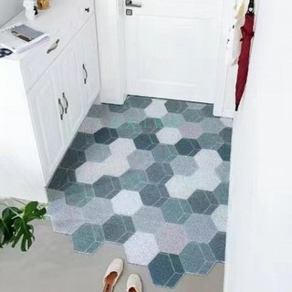 絲圈地墊 門口地墊 玄關地墊 刮泥蹭土 防滑可裁剪, 1個