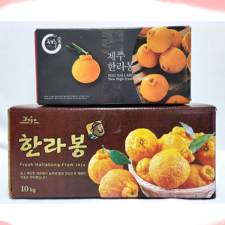 제주모다진 한라봉 벌크 5kg 10kg [원산지:국산(제주특별자치도 제주시)], 1개, 5kg 소과