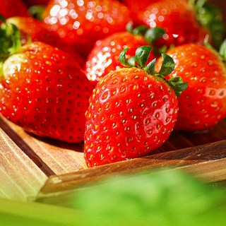 14Brix 고당도 금실 딸기, 1개, 특 2팩 700g 내외 (30구내외)