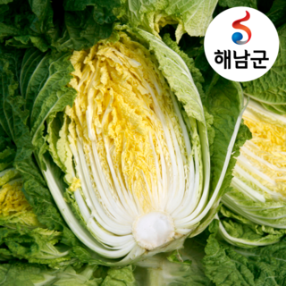 [해남] 국내산 배추 생배추 포기배추 통배추 산지직송 3포기 (10kg내외), 1박스, 10kg