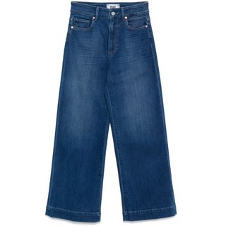 페이지 아네사 진