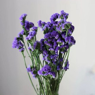 現貨 大把乾燥花 星辰/滿天星/情人草/卡斯比亞 乾燥花花束 永生花 情人節禮物 生日禮物 拍照道具背景 餐廳佈置, 星辰(安娜深紫)120克