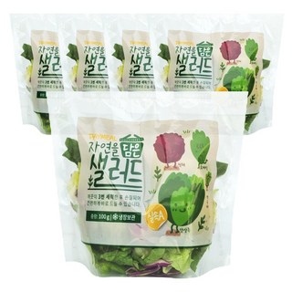 데이밀 자연을담은 샐러드 실속A 100g x 5팩 국내산 야채믹스, 5개, 드레싱없음