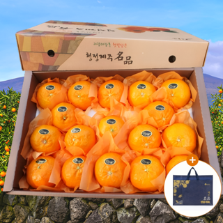 [설명절만족도1위] 프리미엄초특가 최상품선별 레드향 선물세트, 1개, 3kg (명절추천)