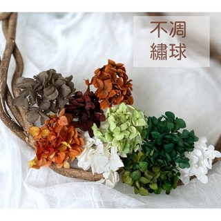 買五送1 永生繡球花 不凋花 乾燥花 材料包 安娜繡球 永生花 配花 花材, 焙茶,一克袋裝