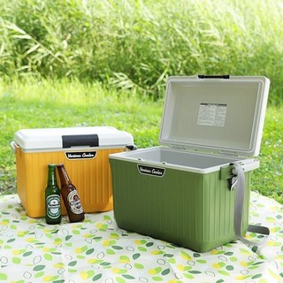 하앤롬 차량용 미니 아이스박스 17L휴대용 캠핑 쿨러 소형 보냉박스, 옐로우