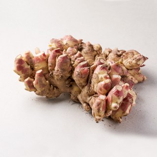 25년 수확 국내산 햇 흙생강 [특품], 1개, 1kg