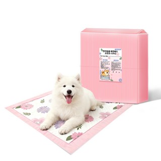 반려동물 배변패드 플라워 프린트 디자인 무향, 1개, 50개입
