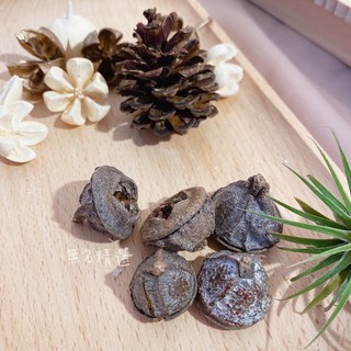 大顆 尤加利果 乾燥果實 乾燥材料 十字果 拍照道具 乾燥花配件 乾燥花 乾燥花材花圈 松果 聖誕花圈材料 DIY, 1個, 2-3公分/一顆