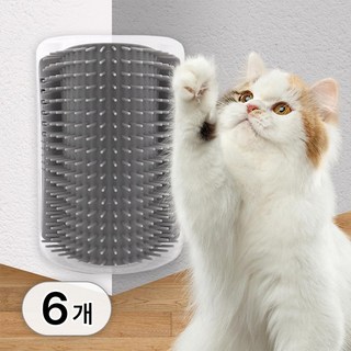 투데이리빙 6개 세트 고양이 셀프 그루밍 브러쉬 죽은털 제거 고양이빗 반려동물 빗질 장난감 애완 용품 캣닢 캣닢볼, 1개, R98580A(혼합색상