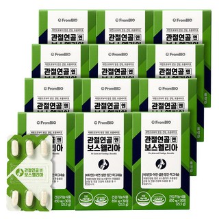 프롬바이오 본사 출고 관절연골엔 보스웰리아 개별인정형 연골 관절 망간 아연, 30정, 12박스