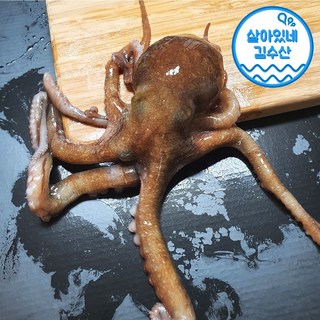 자연산 낙지 신선도 최상급 산낙지 생물 활낙지 [당일발송], 5개, 중대(170~180g)