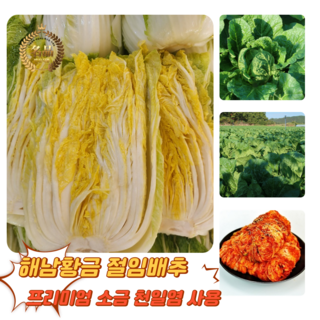 [굿피플] 맛있는절임배추 해남절임 절인배추 김장, 절임배추 30kg (6-15포기), 1박스, 30kg