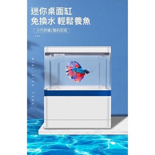 魚寶妹時尚底部過濾缸迷你底濾缸套缸含馬達/燈具/濾材桌上型小型魚缸金魚孔雀魚燈魚球魚, 藍, 1個