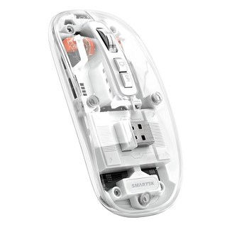 스마텍 리시버 USB 무선 무소음 블루투스 마우스, STM-IV100, 투명