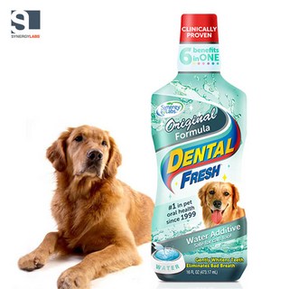 시너지랩 Dog 덴탈후레쉬 오리지널 503ml 물에 섞는 치약, 1개