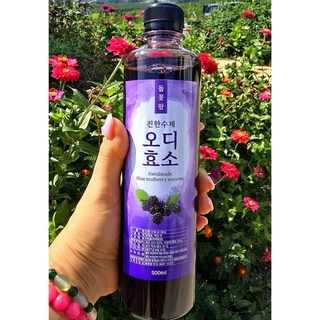 들꽃팜 진한 수제오디효소 500ml 국산100% 선물용, 1개, 1개입, 500g