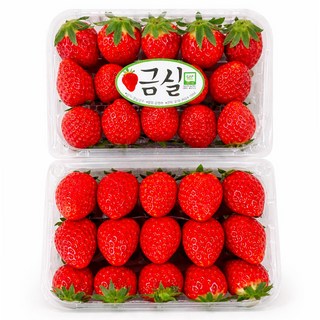 [솔봄프레시] 산지직송 프리미엄 금실딸기 대과 당일수확 당도선별, 1박스, 금실[대과]500g