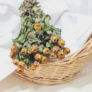 드라이플라워 아이라이너 장미 미니장미 1단 프리저브드 시들지않는꽃 인테리어 소품 말린꽃 DIY재료, 드라이플라워 미니장미 아이라이너 1단