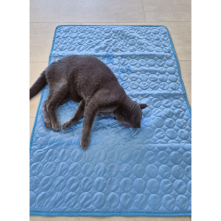 펫이오 반려동물 냉감패드 시원한 강아지 고양이 쿨매트, 블루