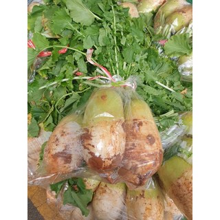 천수무 다발무 고랭지 김장 무우, 1개, 5kg