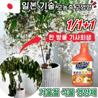 [고농축+고영양]1/1+1겨울철 식물영양제 가정용 화분 식물 병해관리제 잎마름 갈변 뿌리 썩음 예방 치료 광합성증진 칼슘 마그네슘 망간 붕소 철분 보충 다달이 피어나다, 1개, 500ml
