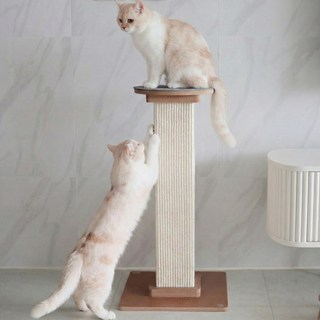 아토주 파우제 고양이 기둥 수직 스크래쳐 탑시트 포함, 1개, 원형 그레이 세트