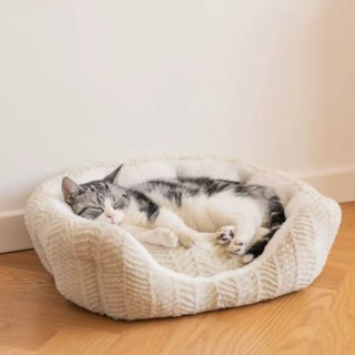 푹신푹신 메모리폼 방석 강아지방석 반려동물 꿀잠 의자방석, 1개, 베이지