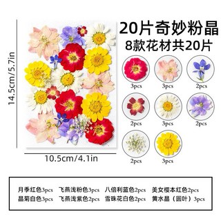 中花包組合 真花壓花 永生花 森林系少女寫真 壁畫 DIY水晶滴膠 乾燥花 植物標本, 1.20片奇妙粉晶