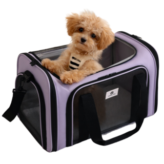 꿀하루펫 강아지 고양이 이동장, 1개, 퍼플