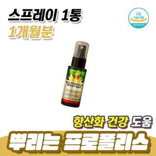환절기 항산화 도움 뿌리는 프로폴리스 플라보노이드 1통 1개월분 면역력영양제 구강스프레이 목스프레이 폴리폴리스 PROPOLIS