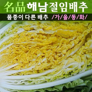 프리미엄품종 산지직송 해수절임배추 GAP인증 명품해남절임배추 20kg (11월6일부터 출하됩니다), 1개, 01-10(토) 도착, 해남절임배추